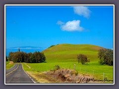 Kohala Mountain Road mit Blick zum Haleakala auf Maui