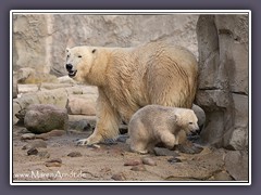 Eisbären Mutter und Tochter