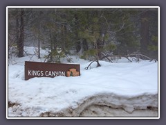 Kings Canyon - eine Menge Schnee