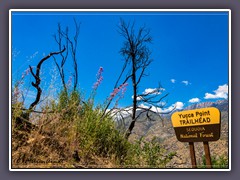 Kings Canyon - Yucca Point Trailhead