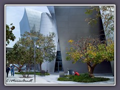 Los  Angeles - Disney Concert Hall Garden