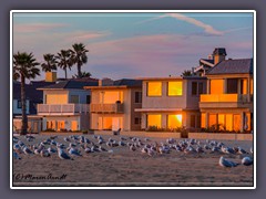 Newport Beach - wohnen am Strand