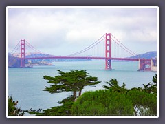 San Francisco - im Presidio Park - Blick auf die Brücke