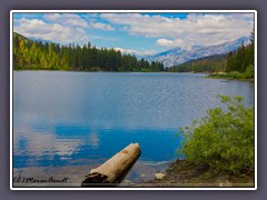 Sequoia NP - Hume Lake