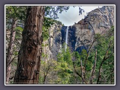 Yosemity NP - Majestätische Wasserfälle im Park