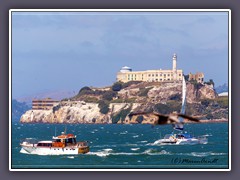 Alcatraz Insel