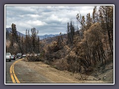 Highway 299 nach dem Wildfire Sommer 2018