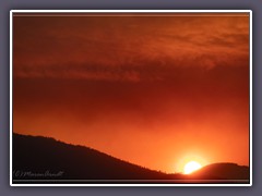 Sonnenuntergang im Shasta County