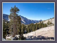 Tioga Pass - Olmsteadt Point