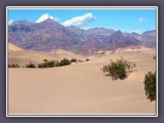 Sanddünen Mesquite Flats 
