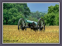Antietam - Battlefield