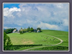 Blue Ridge Parkway - Farmland
