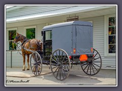 Lancaster - Amish Buggie