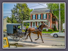 Lancaster - Amish Buggie Ride