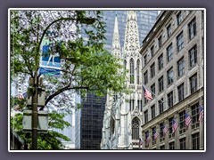 New York.- Fifth Avenue St Patrick Cathedral
