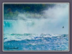 Niagara - Horseshoe Falls von Goat Island gesehen