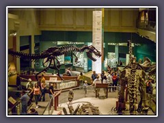 Wahington - Smithsonian National Museum of Natural History
