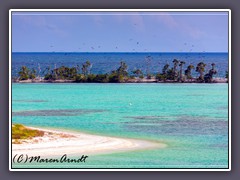 Long Key - Heimat der Florida Fregattvögel