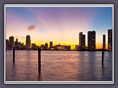 Miami Sundown