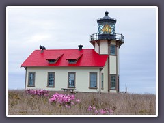 Point Cabrillo Lighthouse mit Naked Lady Wildflowers