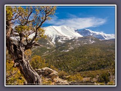 Great Basin - Mount Wheeler