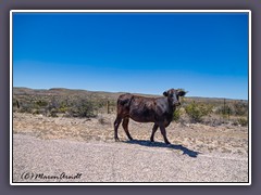 Open Range