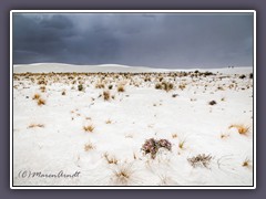 White Sands - Nationalpark