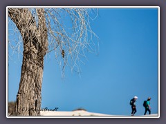 White Sands - wandern auf dem Nature Trail