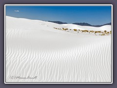 White Sands - weiße Dünenwelt