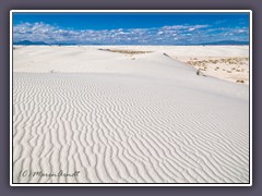 White Sands - weiße Gipsdünen so weit das Auge reicht