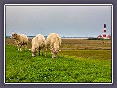 Westerhever - ein Symbol für Schleswig-Holstein