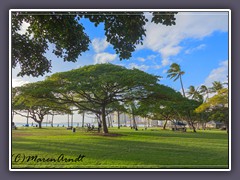 Kapiolani Regional Park Honolulu