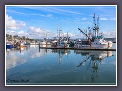 Newport - Fischereihafen