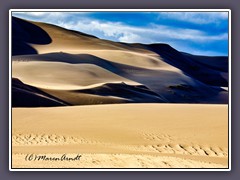 Great Sand Dunes - Sandablagerungen in Jahrhunderten herangeweht vom Rio Grande und seinen Nebenflüssen