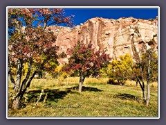 Historische Obstplantage in Fuita - Utah State Route 24