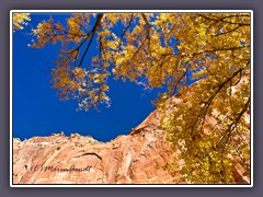 Scenic Drive Capitol Reef - Herbst