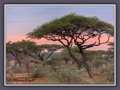 Abendrot in der Süd-Serengeti
