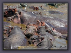 Dieser Hippoteich ist über Monate oft die einzige tiefe Wasserstelle für Flusspferde