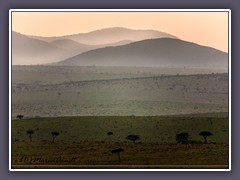 Serengeti Nord am Morgen