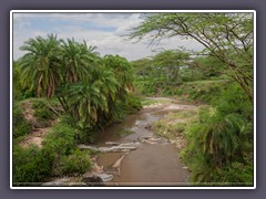 Weiter geht es zur Serengeti Nord - am Grumeti Fluss