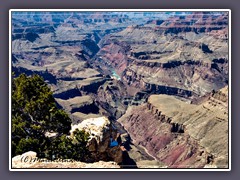 Grand Canyon - 446 m lange Colorado River Schlucht