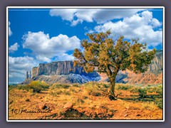 Im Monument Valley - Mitchel Mesa