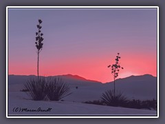 Sonnenuntergang in den White Sands