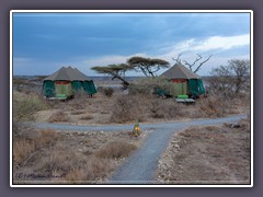 Serengeti Süd