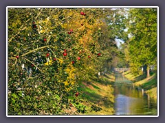 Oste-Hamme-Kanal - Herbst