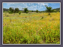 Austin - Common Ford Ranch renaturierte Prairie