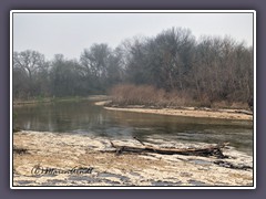 Austin - Onion Creek