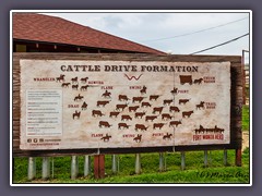 Fort Worth - Cattle Drive Formation