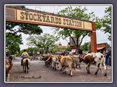 Fort Worth - Stockyard