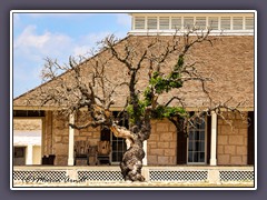 Hill Country - Fort McKavett